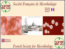 Aperu du site Socit Franaise de Microbiologie