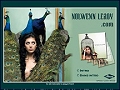 D�tails Nolwenn Leroy