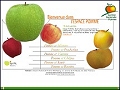 Dtails Lapomme.org - tout sur les pommes
