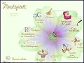 D�tails Rank Spirit - cr�ation de site web
