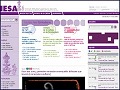 D�tails IESA - Institut d'Etudes Sup�rieures des Arts