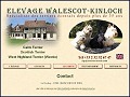 D�tails Elevage Walescott Kinloch - sp�cialiste des terriers ecossais