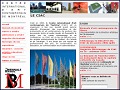 D�tails Centre International d'Art Contemporain de Montr�al