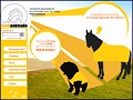 D�tails Modanimale - v�tements et accessoires pour animaux de compagnie