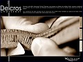 D�tails Delcros - chaussures de luxe pour hommes