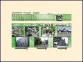 D�tails P�ruwelz - Belgique