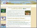 D�tails C�libacamp - vacances et loisirs en camping pour les c�libataires