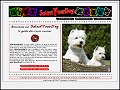 D�tails Select Your Dog - guide des races canines