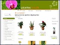 D�tails Plantes Boutik - plantes vertes et articles de jardinage
