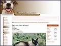 D�tails 1 Million d'Amis - concours de beaut� pour animaux de compagnie
