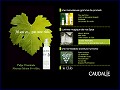 D�tails Caudalie Paris - s�jours en Spa Vinoth�rapie
