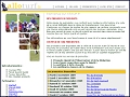 Détails Allo Turf