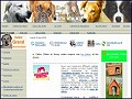 D�tails Entre Chien et Nous - espace d�di� aux chiens et chiots