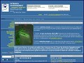 D�tails Paysage - conseil en am�nagement ext�rieur