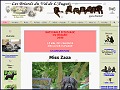 D�tails Briards.fr - �l�vage de Briards du Val de l'Auguis