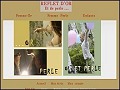 D�tails Reflet d'Or - bijoux en or, argent massif, bijoux en perles