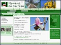 D�tails P�pini�res de Claireau - arbres, arbustes, haies, plantes pour jardins et parcs