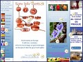 D�tails Gastronomie, recettes de cuisine et traditions en Europe