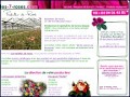 D�tails 7 Roses - Exp�dition de roses
