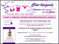 Dtails du site www.clic-lingerie.com