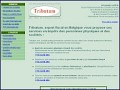 Dtails Conseiller fiscal - Tributum Belgique