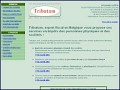 D�tails Conseiller fiscal - Tributum Belgique