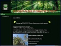 D�tails Ent. Agaccio - construction maison en bois, ossature bois, �lagage