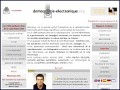 D�tails Democratie-electronique.org, le portail francophone de la cyberd�mocratie