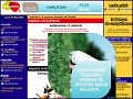 D�tails Isalariat - externalisation de comp�tences, consultants externes