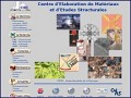 D�tails CEMES, Centre d'�laboration des mat�riaux et d'�tudes structurales
