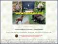D�tails LaCHASSE.net