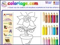 Détails Coloriage.com - magie de couleur pour les enfants