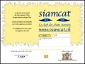 D�tails Siamcat.ch - club de chats siamois, thai, type siamois