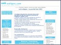 D�tails SSII-enligne.com : le portail des SSII
