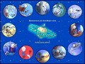 D�tails Librairie Boulinier - univers de la BD, Quartier Latin � Paris