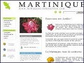 D�tails La Banane Interactive - Martinique