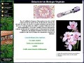 D�tails Didacticiel de Biologie V�g�tale