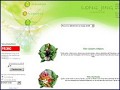 D�tails Th�s parfum�s et d'origine - Long-jing