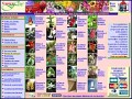 D�tails Plantes exotiques tropicales et m�diterran�ennes - TropicaFlore