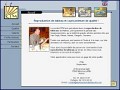 D�tails Reproduction de tableaux de ma�tres