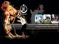 D�tails Spectacles �questres Luraschi - cascades, voltiges, dressage