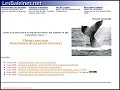 Dtails LesBaleines.net - le monde des baleines et des mammifres marins