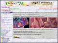 D�tails Alpha Proxima - foulards, �toles, �charpes en soie