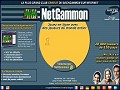 Dtails Netgammon, le jeu de backgammon en ligne