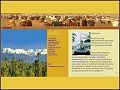 D�tails Bienvenue au Maroc, locations, services et organisation de loisirs