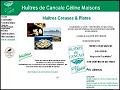 D�tails Hu�tres de Cancale C�line Maisons - huitres creuses et plates de Bretagne