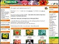 D�tails Hodnik - plantes tropicales, exotiques et m�diterran�ennes