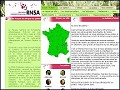 D�tails R�seau National de Surveillance A�robiologique, allergies aux pollens