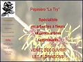 D�tails P�pini�re Le Try en Belgique, arbres et arbustes � fleurs